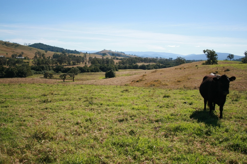 OFFERS INVITED Picture 2