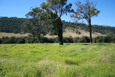 OFFERS INVITED Picture