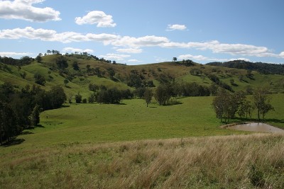 Highly Maintained Large Acreage Picture