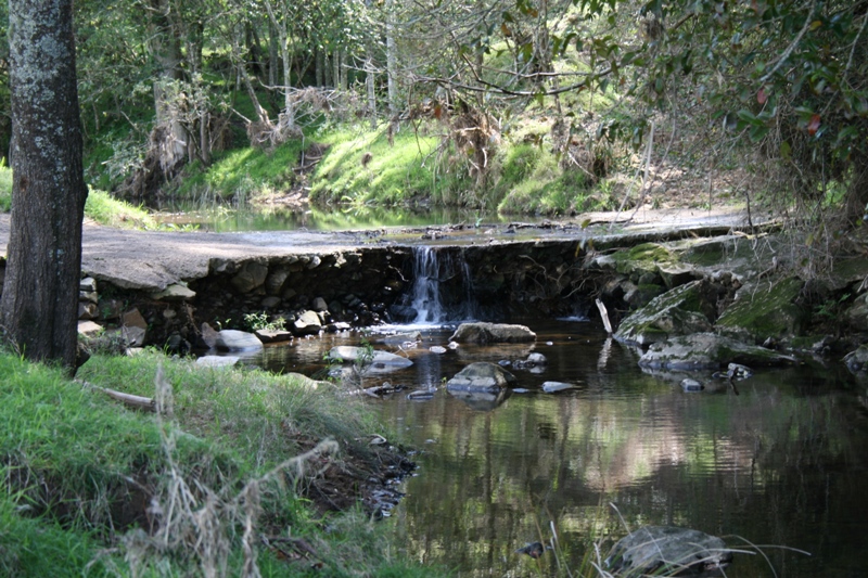 Highly Maintained Large Acreage Picture 2