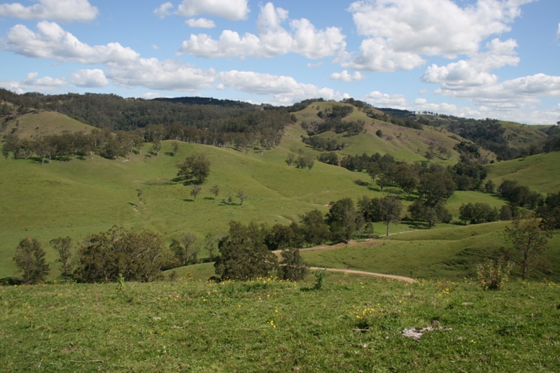 Highly Maintained Large Acreage Picture 3