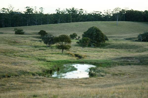 The Most Convenient Location Picture 3