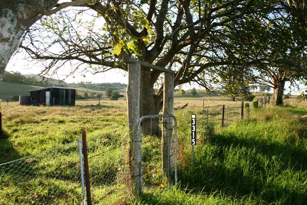 The Most Convenient Location Picture 2