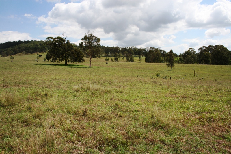 Price Reduced $80,000 Solicitor Says Sell!!! Picture 3