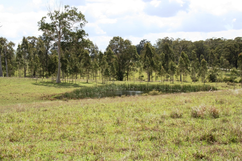 Price Reduced $80,000 Solicitor Says Sell!!! Picture 2