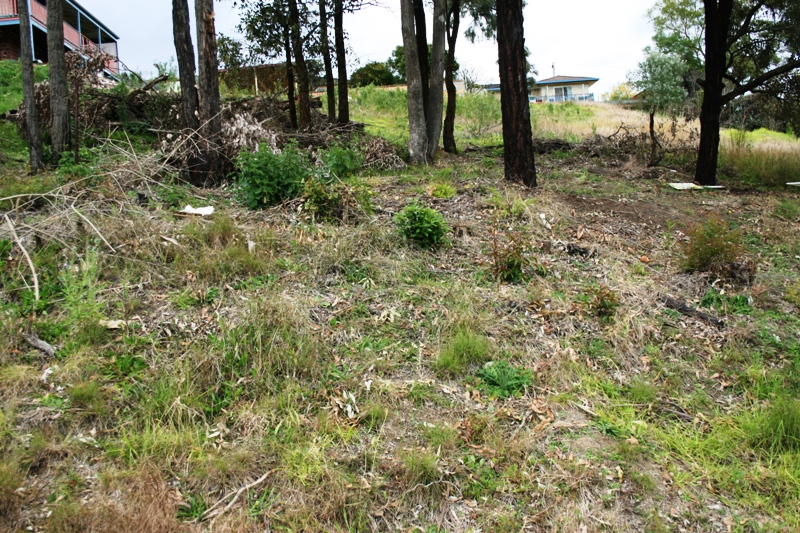 Magnificent Views Picture 2