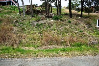 Magnificent Views Picture Magnificent Views Picture