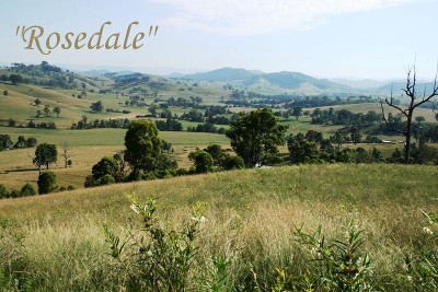 Picturesque Valley Setting Picture