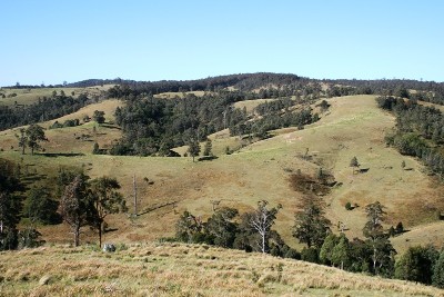 Paddock with potential Picture