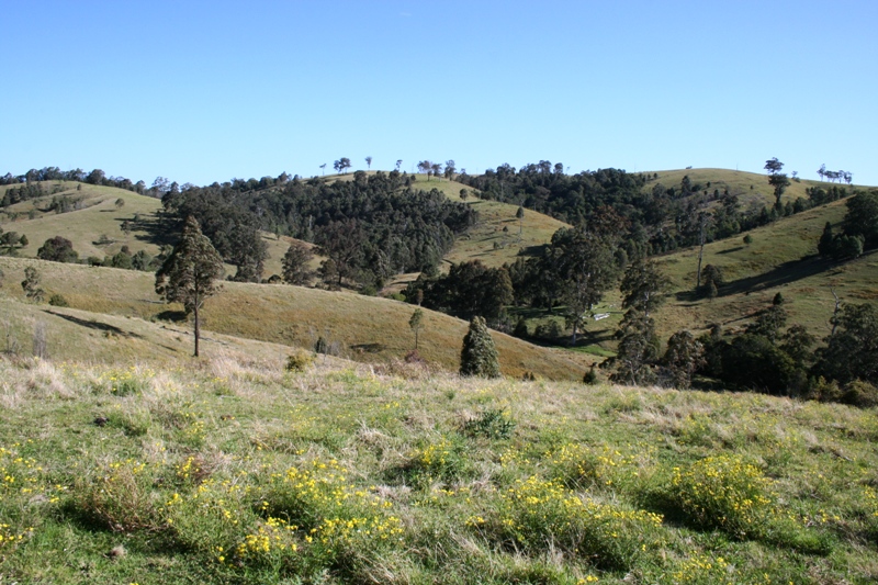 Paddock with potential Picture 2