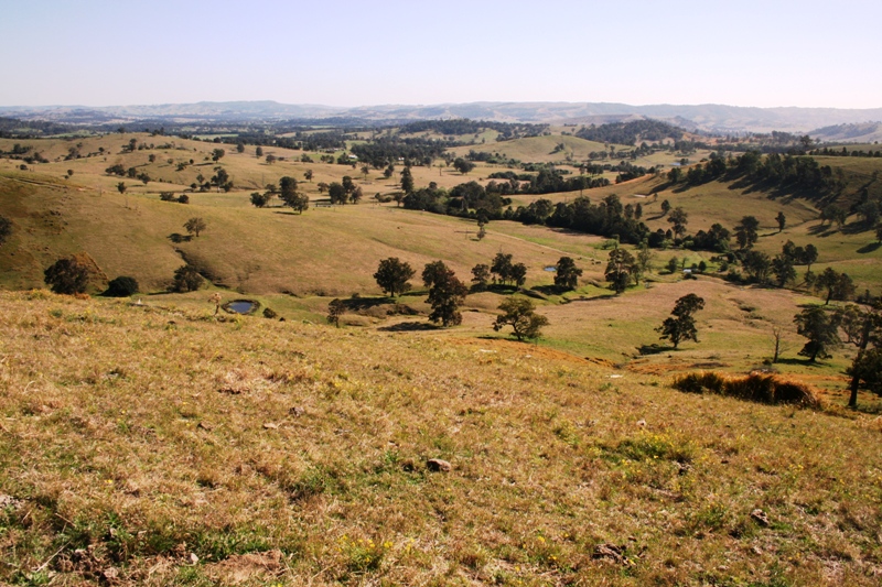 Paddock with potential Picture 3