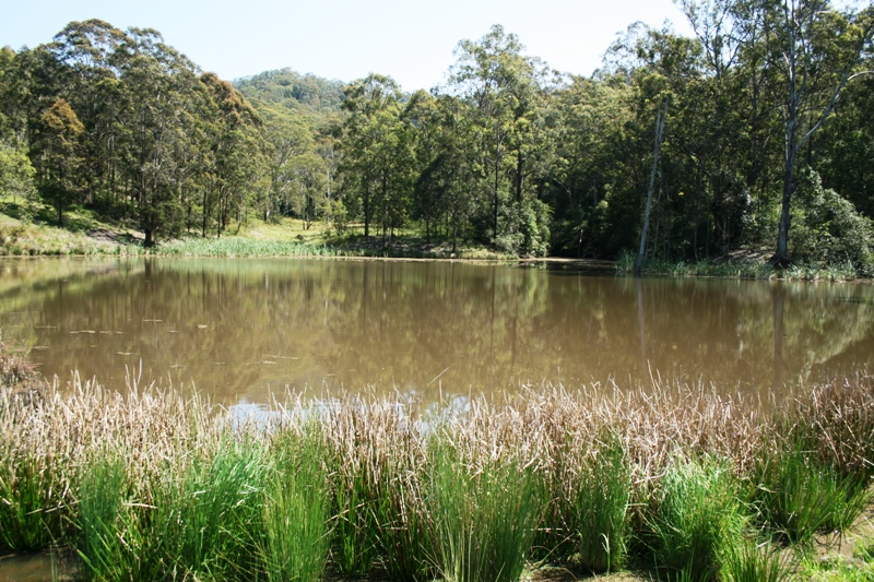 Mountain Vale Picture 2