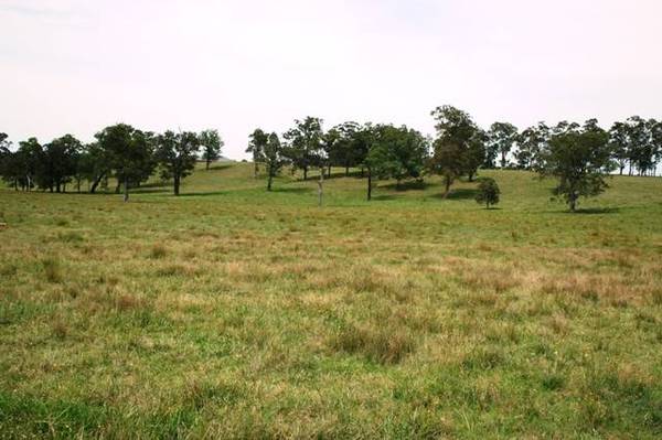 One of a Kind Picture