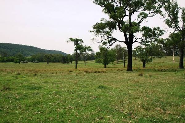 One of a Kind Picture