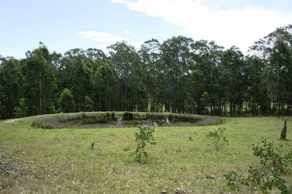 Neighbouring Monkerai Nature Reserve Picture