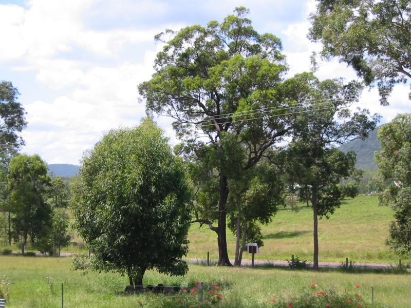 PRICE REDUCED!! Motivated Vendors want it SOLD! Picture 2