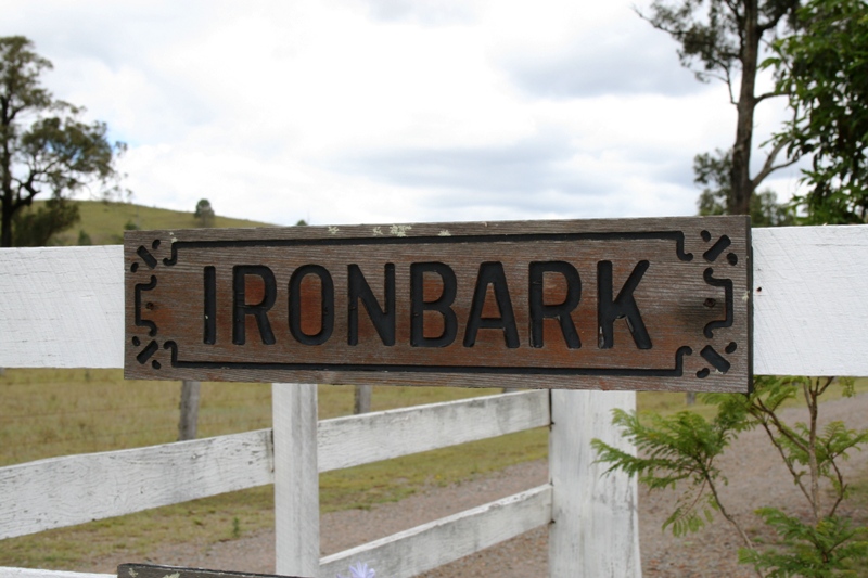 New Year - New Home Picture