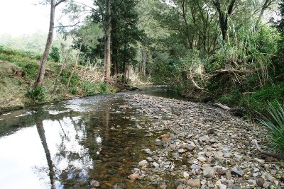 Peace and Privacy Picture