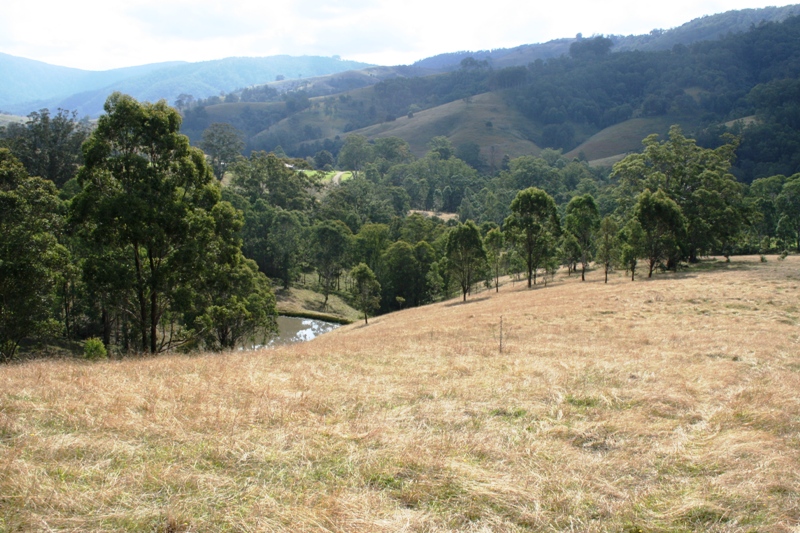 Peace and Privacy Picture 2