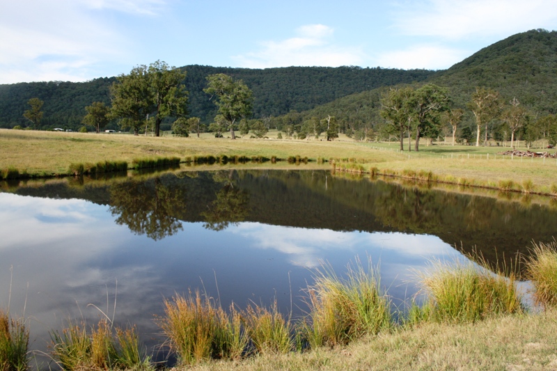 ~ Kyeema ~ Picture 1