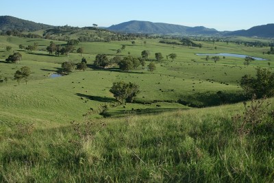 Peaceful Pastoral Hideway Picture