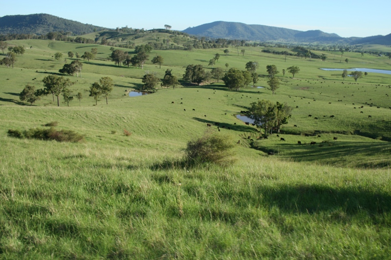 Peaceful Pastoral Hideway Picture 2