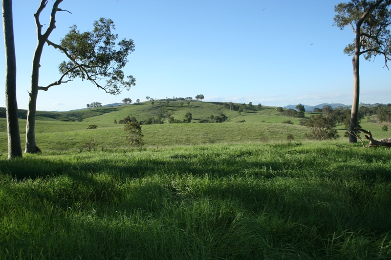 Vacant Grazing Land Picture 3