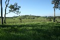 Vacant Grazing Land Picture