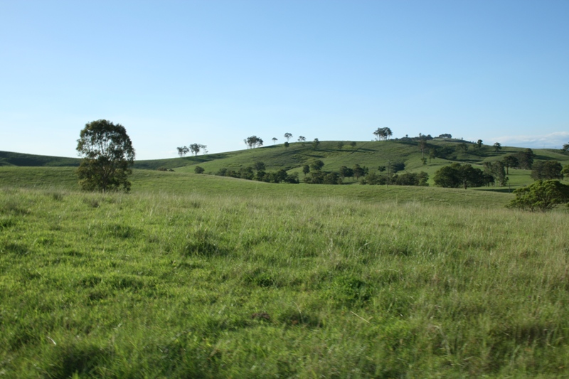 Vacant Grazing Land Picture 1