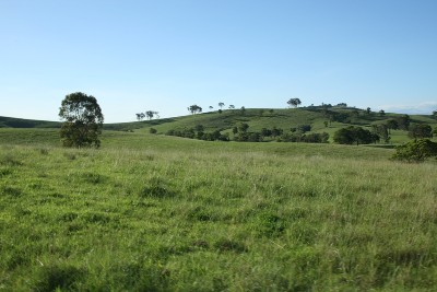 Vacant Grazing Land Picture