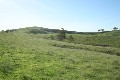 Vacant Grazing Land Picture