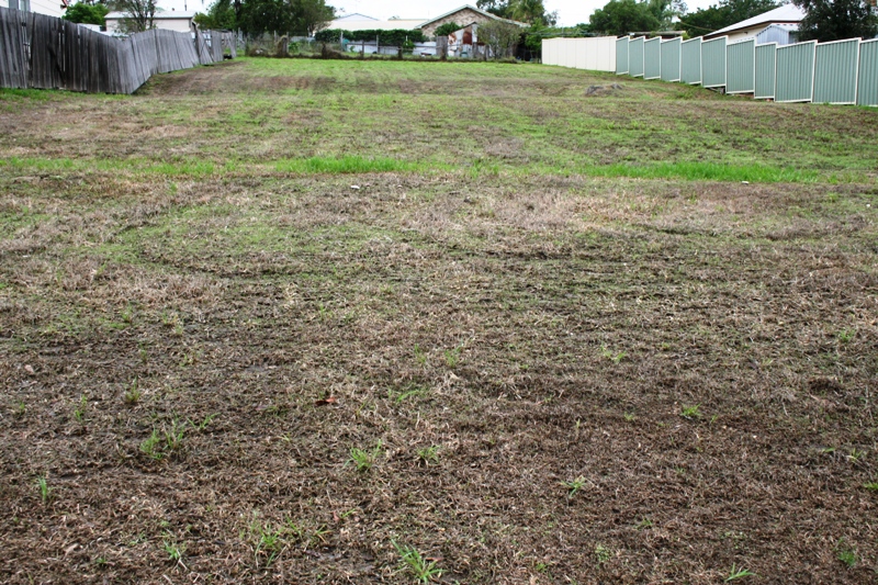 Build Your First Home Picture 1