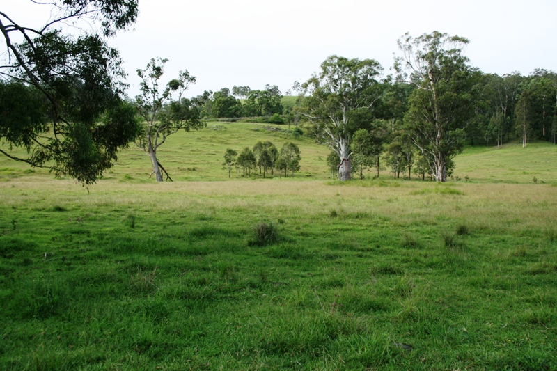 Price, Position and Productivity Picture 1