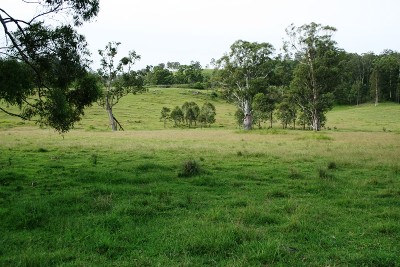 Price, Position and Productivity Picture