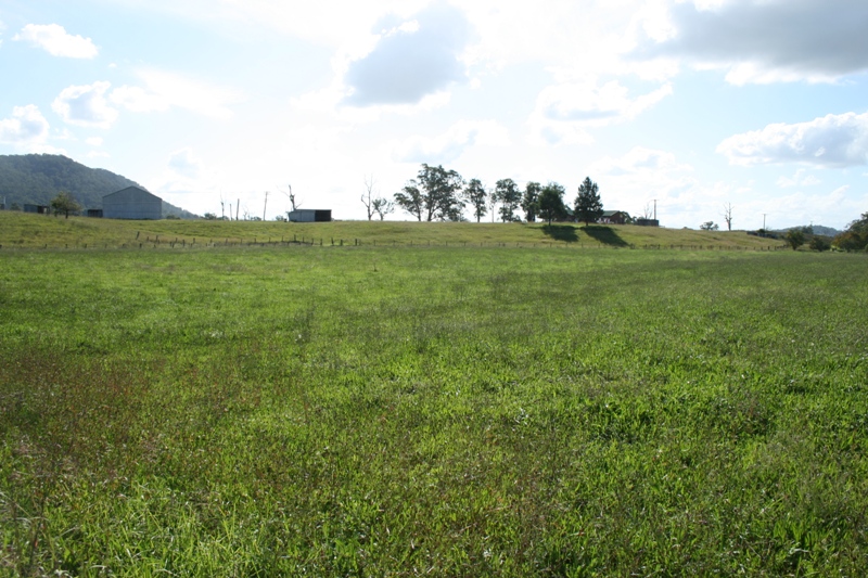 Productive Lifestyle Holding Picture 2