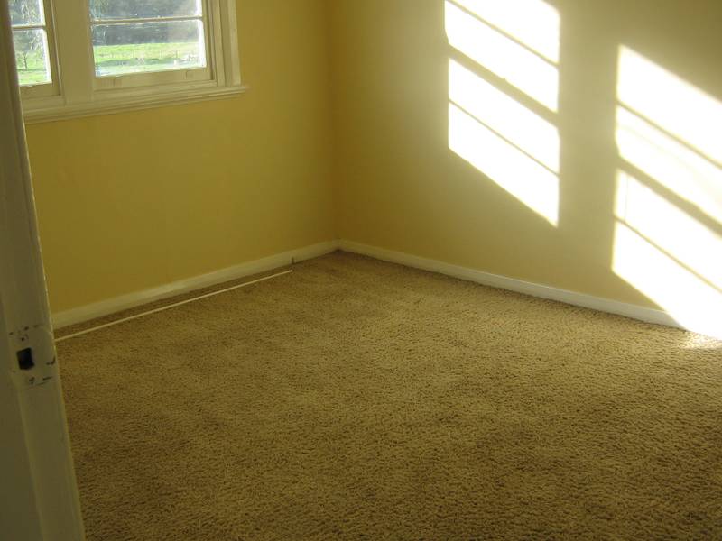 Freshly painted Picture Freshly painted Picture