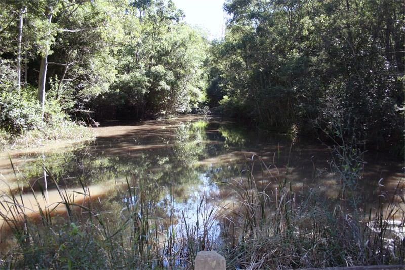 Calling Conservationists and Outdoor Recreationists Picture 1