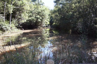 Calling Conservationists and Outdoor Recreationists Picture