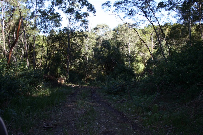 Calling Conservationists and Outdoor Recreationists Picture 3