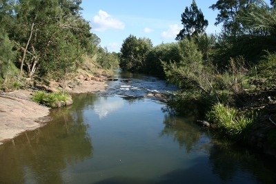 Productive Lifestyle Holding Picture