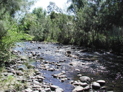 Spectacular Allyn River Frontage Picture