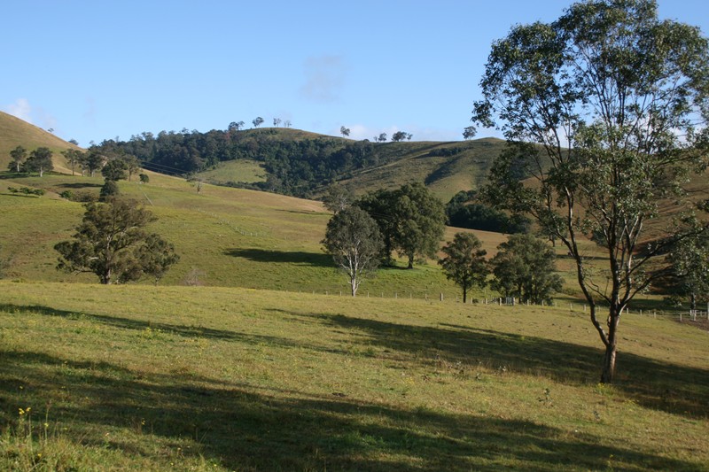 Million Dollar Views Picture 2