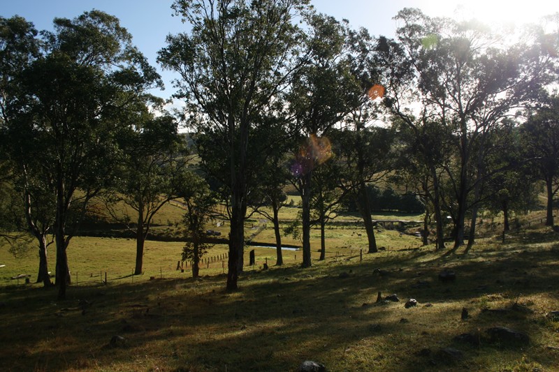 Million Dollar Views Picture 3