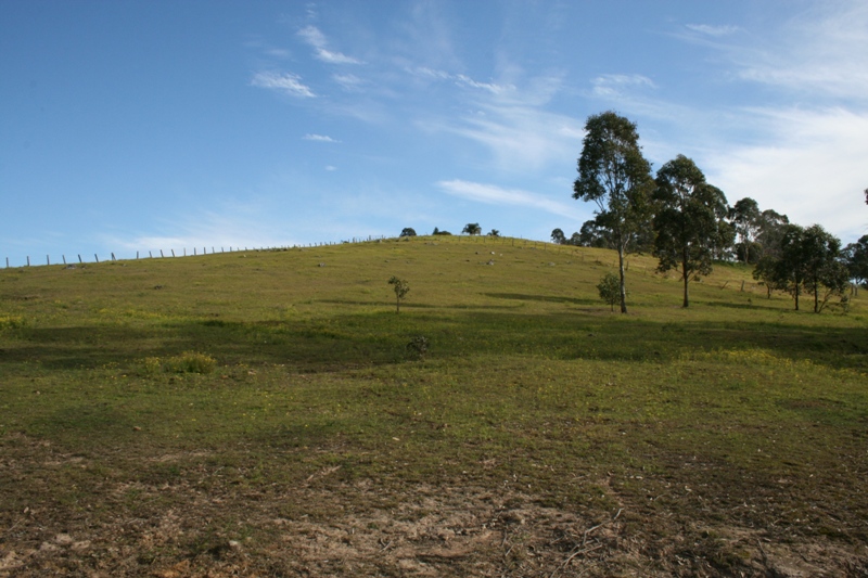 Hard to find Vacant Small Acreage on the edge of Town Picture 2