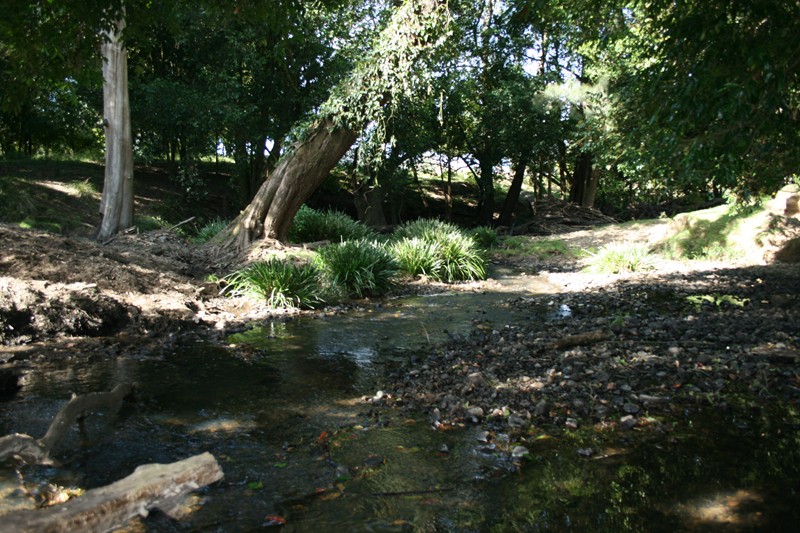 Rural Paradise Picture 2