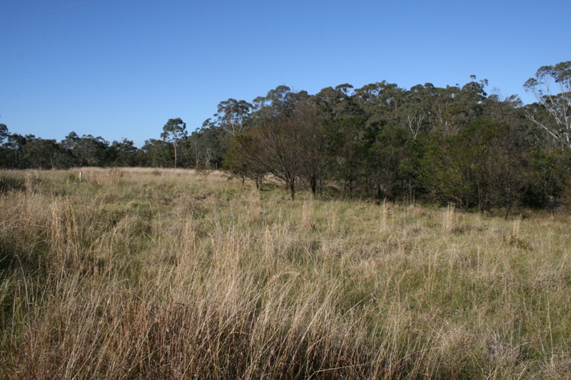 Your Weekend Starts Here Picture 3