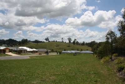 Great Opportunity Picture