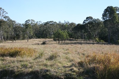 Your Weekend Starts Here Picture