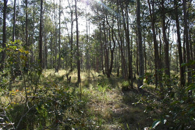 Your Weekend Starts Here Picture 2