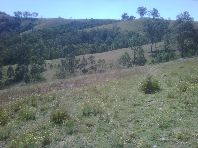 Ideal Cattle Grazing Property Picture 2